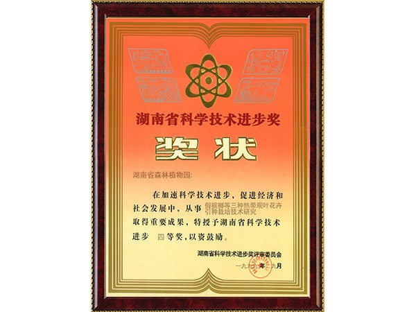 假槟榔等三种热带观叶花卉引种栽培技术研究（省科学技术进步四等奖）---1999.9