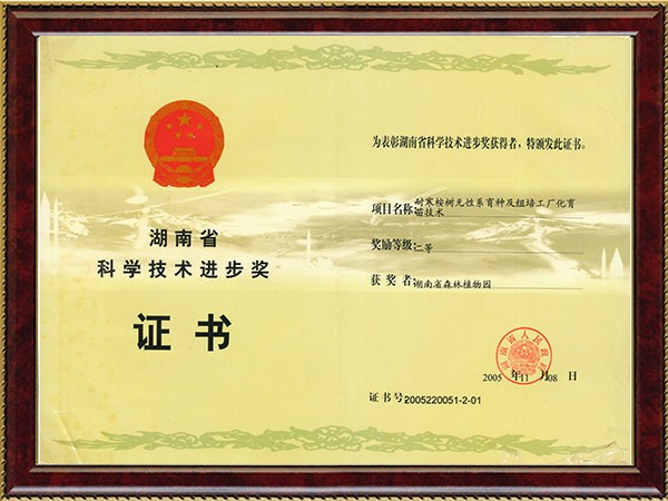 耐寒桉树无性系育种及组培工厂化育苗技术（省科技进步二等奖）---2005.11.8