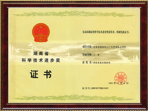 耐寒赤桉组培工厂化育苗技术研究（省科技进步三等奖）---2001.12.16