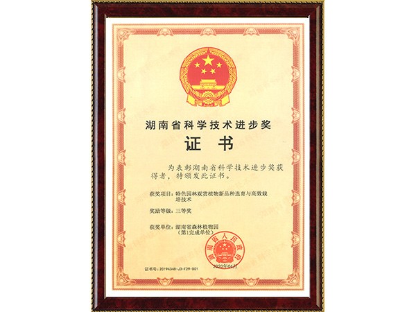 特色园林观赏植物新品种选育与高效栽培技术(省科技进步三等奖~完成单位第1)---2020.04
