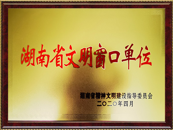 湖南省文明窗口单位（2020）