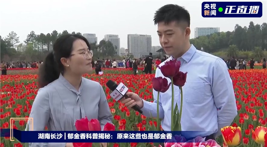 带你穿行万花丛中，感受春日美好！