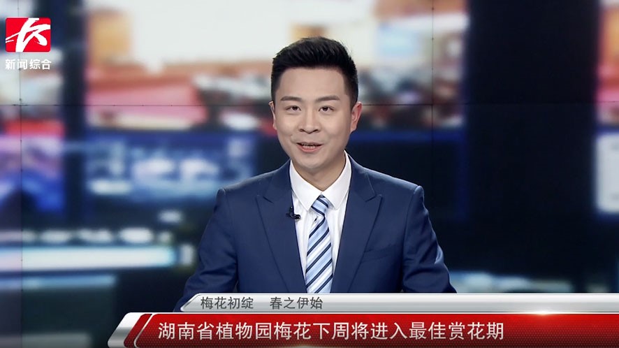 梅花初绽 春之伊始|湖南省植物园梅花下周将进入最佳赏花期