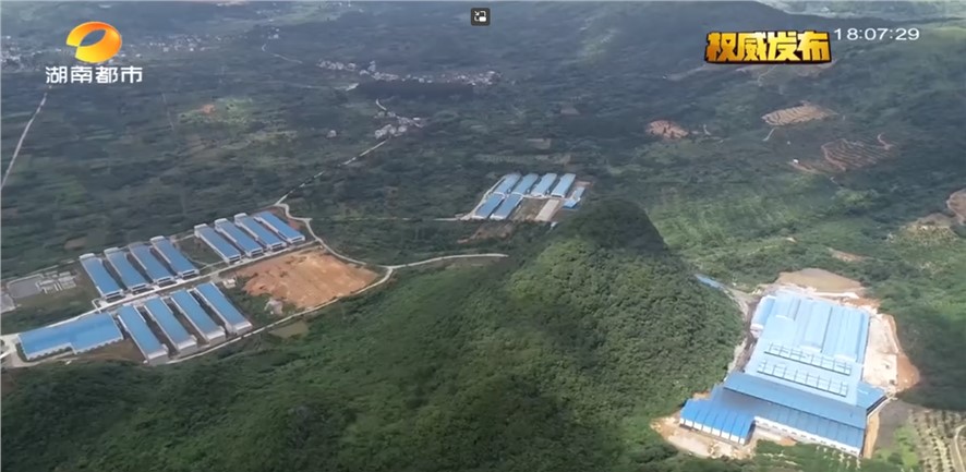 湖南491个“菜篮子”基地保供大湾区