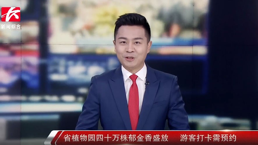 省植物园四十万株郁金香盛放 游客打卡需预约