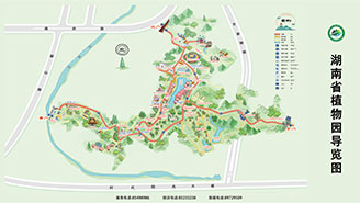 园区导览图