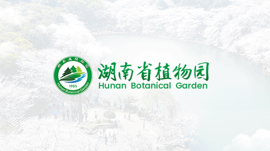 湖南省植物园珍贵树种保育与利用取得多项突破性进展